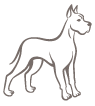 Line drawing of a dog with pointed ears standing.