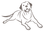 Line drawing of a dog with floppy ears laying down.