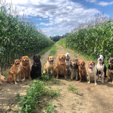 Count off!  Photo: Rachel Bilodeau Ribis